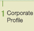 1 Corporate Profile