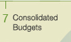 7 Consolidated Budgets