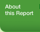 About this Report