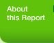 About this Report