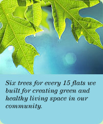 Photo: Six trees for every 15 flats we built for creating green and healthy living space in our community.