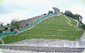 Photo: Slope greening in Tung Tau Cottage Area site formation.