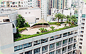 Photo: The Roof Garden at the Housing Authority Headquarters.