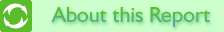 About this Report