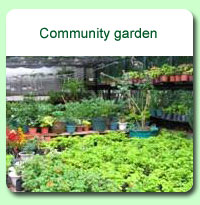 Photo: Community garden