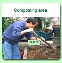 Photo: Composting area