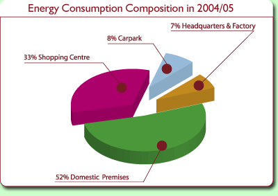 Chart: Energy Consumption Composition in 2004/05