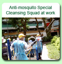 Photo: Anti-mosquito Special Cleansing Squad at work