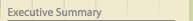 Executive Summary