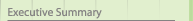 Executive Summary