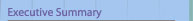Executive Summary