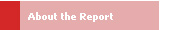 About the Report