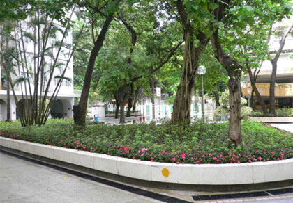 Photo: Landscape Improvement in Chun Shek Estate