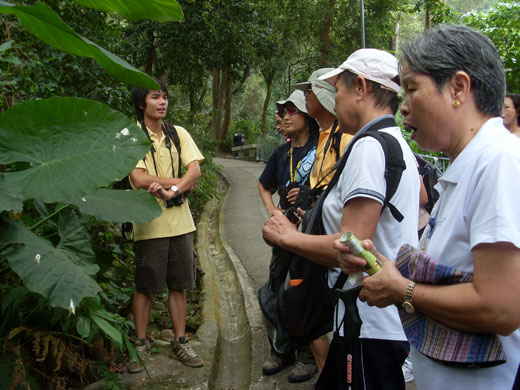 Photo: Eco-visit to Lung Fu Shan 