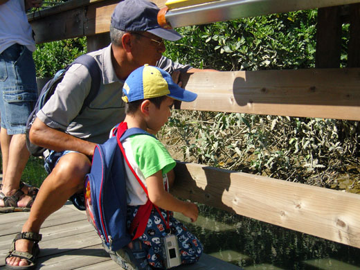 Photo: Eco-tour to Wetland Park