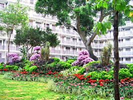 Photo: Lagerstroemia Garden at Wah Fu (I) Estate 
