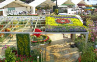 Photo: Display in the Hong Kong Flower Show 2008