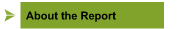 About the Report