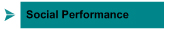 Social Performance