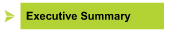 Executive Summary