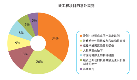 图表： 新工程项目的意外类别