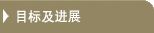 目标及进展