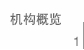 机构概览