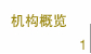 机构概览 机构概览