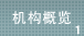 1.机构概览