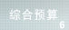6.综合预算