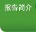 报告简介