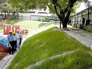 相片: 蓝田邨的斜坡绿化工程。