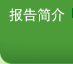 報告簡介