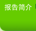 报告简介