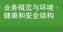 業務概覽與環境、健康和安全結構