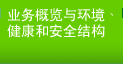 业务概览与环境、健康和安全结构