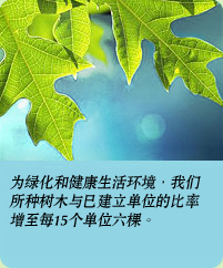 相片: 为绿化和健康的生活环境，我们所种树木与已建立单位的比率增至每15个单位六棵。