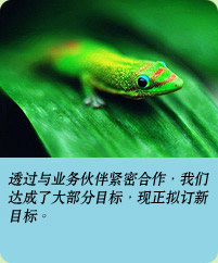 相片: 透过与业务伙伴紧密合作，我们达成了大部分目标，并拟订新目标。