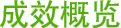 成效概览