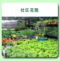 相片: 社区花园