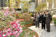 图：房委会花展