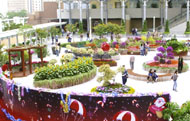 图：房委会花展