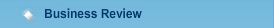 Business Review