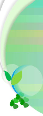 Environmental Report 2002/2003