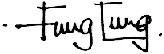 Signature: Fung Tung