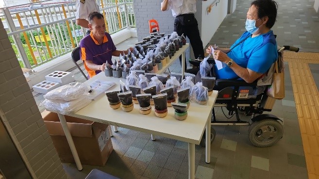 Residents participated in 'Action Seedling' 2