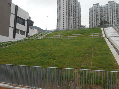 Hydroseeding at slope in public housing
                                    development at Ching Hung Road 1