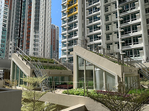 Green roofs at Pak Tin Estate Phase 11 1