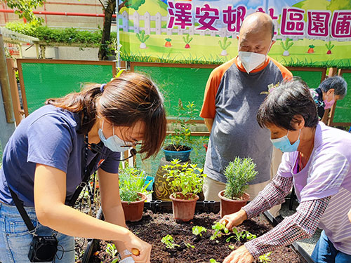 Community gardens 2