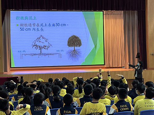 Estate Tree Ambassador Scheme for primary school students  4